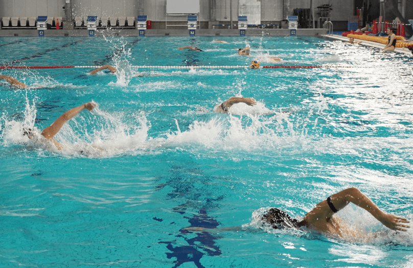 順大水球 × Polar